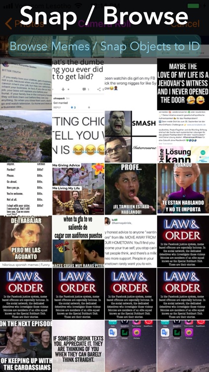 PicData Meme Translator screenshot-3