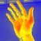 Thermal Vision creates thermal vision effect through your iPhone Camera