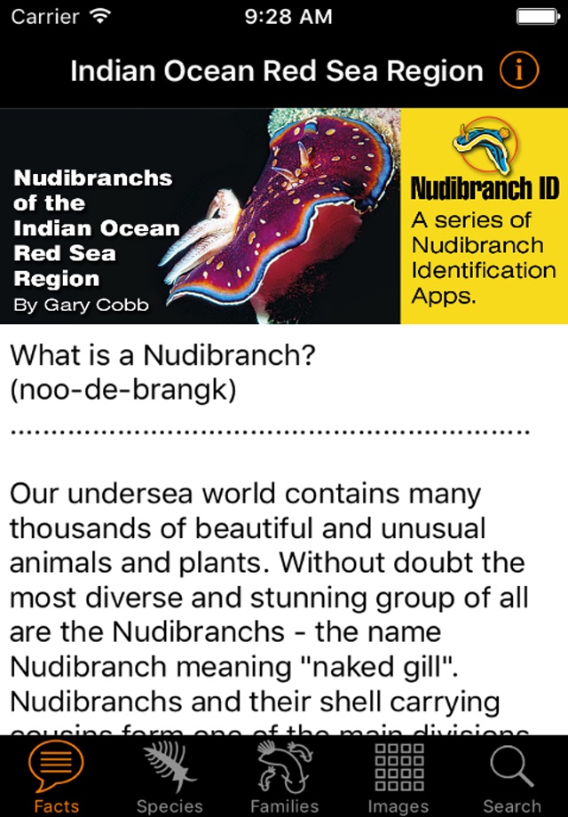 Nudibranch ID IndianOcn RedSea screenshot 2