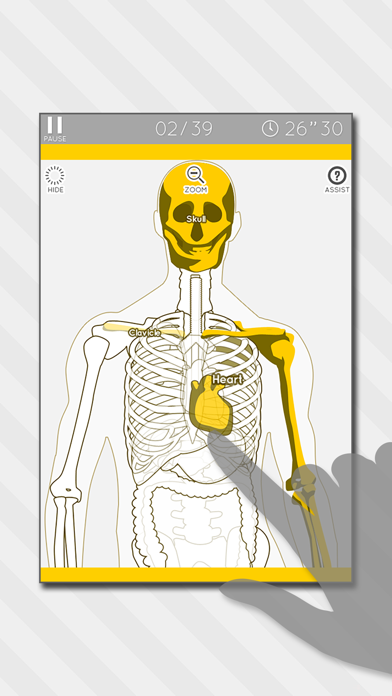 How to cancel & delete Enjoy Learning Anatomy puzzle from iphone & ipad 1