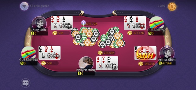 VN Poker Pro