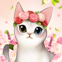 고양이 다방 고양이 다방