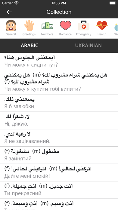 Arabic Ukrainian Dictionary screenshot 2