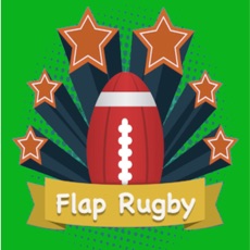Activities of Flap Rugby