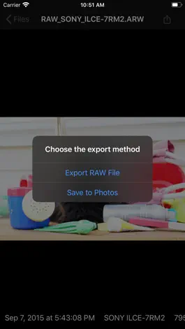 Game screenshot Raw Camera Transfer hack