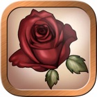 Top 31 Entertainment Apps Like Under the Roses Lenny - Best Alternatives