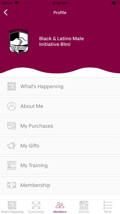 Brooklyn College  BLMI screenshot-3