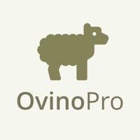 OvinoPro pour PC