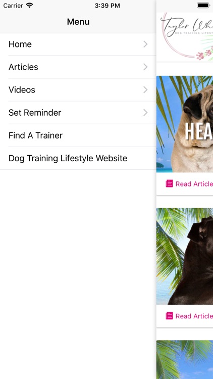 Dog Training Lifestyle