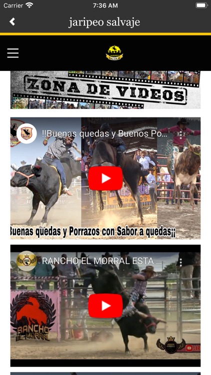 jaripeo salvaje screenshot-3