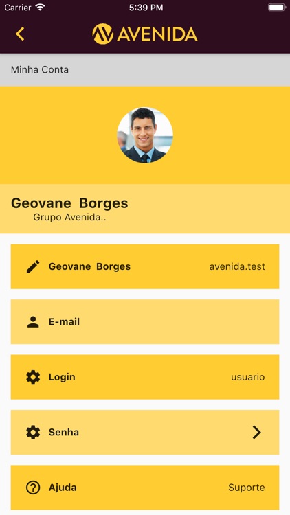 Grupo Avenida - Governança screenshot-4