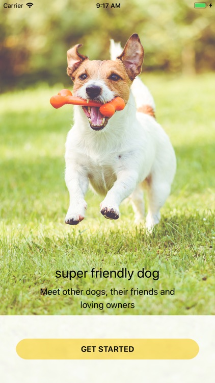 SuperFriendlyDog