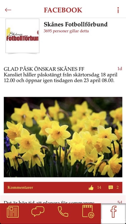 Skåneboll screenshot-3