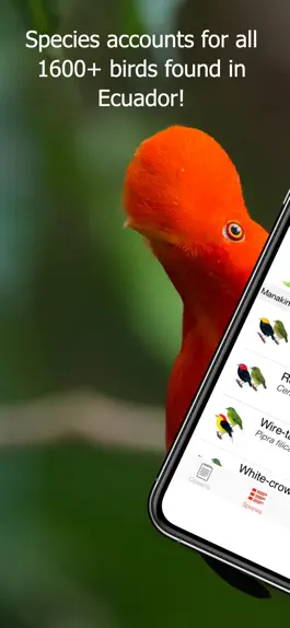 Game screenshot Birds of Ecuador - Field Guide apk