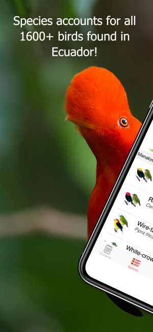 Birds of Ecuador - Field Guide(圖2)-速報App