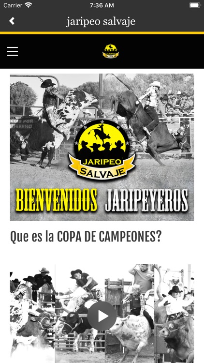 jaripeo salvaje