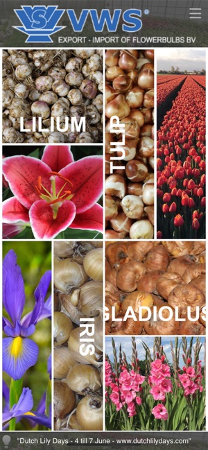 Flower Bulb Pics and Info