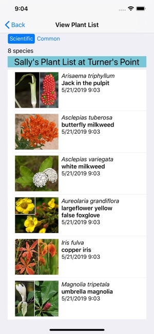 Arkansas Wildflowers(圖7)-速報App