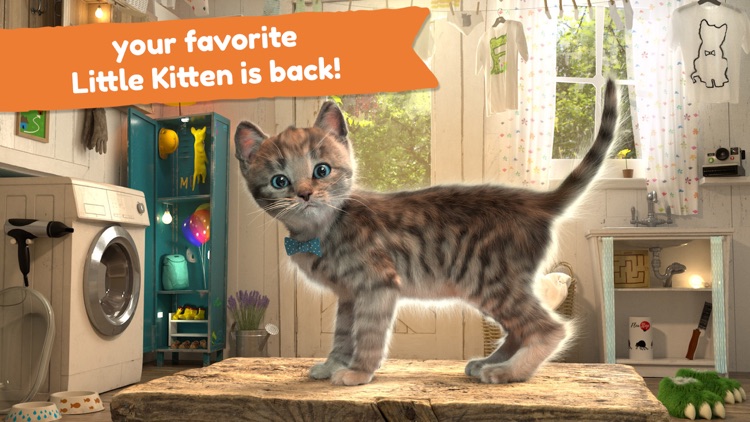 Little Kitten Adventure Games screenshot-0