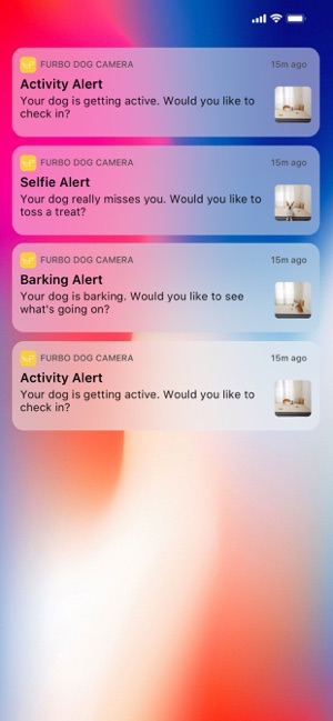 dog camera with bark alert