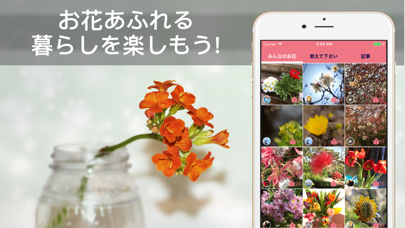 花・植物好きが集まる写真共有・図鑑アプリ,... screenshot1