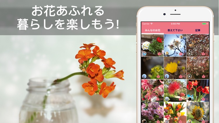 花・植物好きが集まる写真共有・図鑑アプリ, FLOWERY screenshot-4