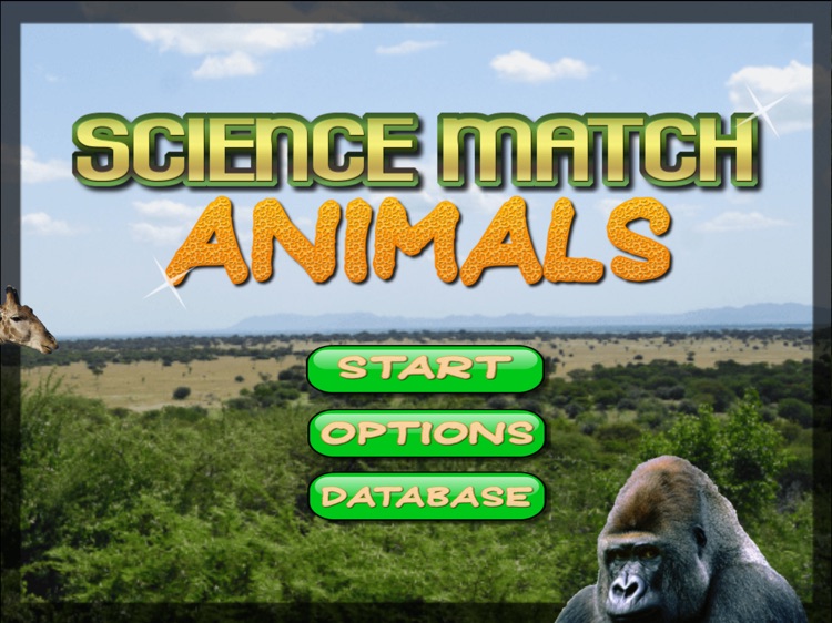 Science Match Animals