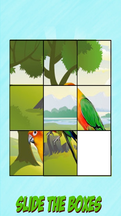 Bird Slide Puzzle Fun Game