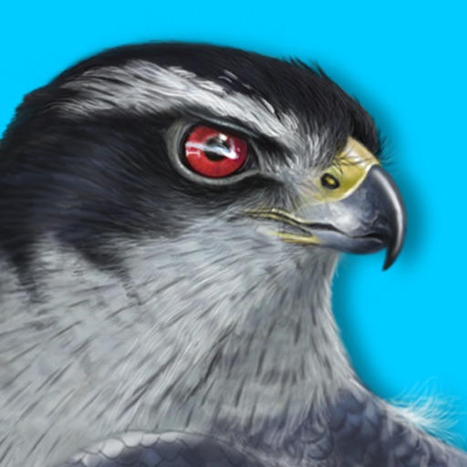 iBird Plus Guide to Birds iOS App