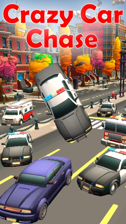 Crazy Car Chase screenshot-0