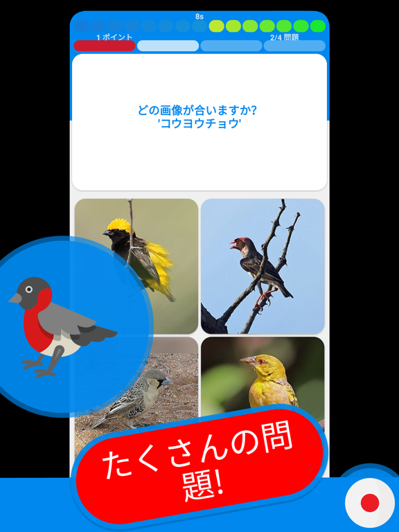 鳥 & 鳥 クイズ 日本ののおすすめ画像9