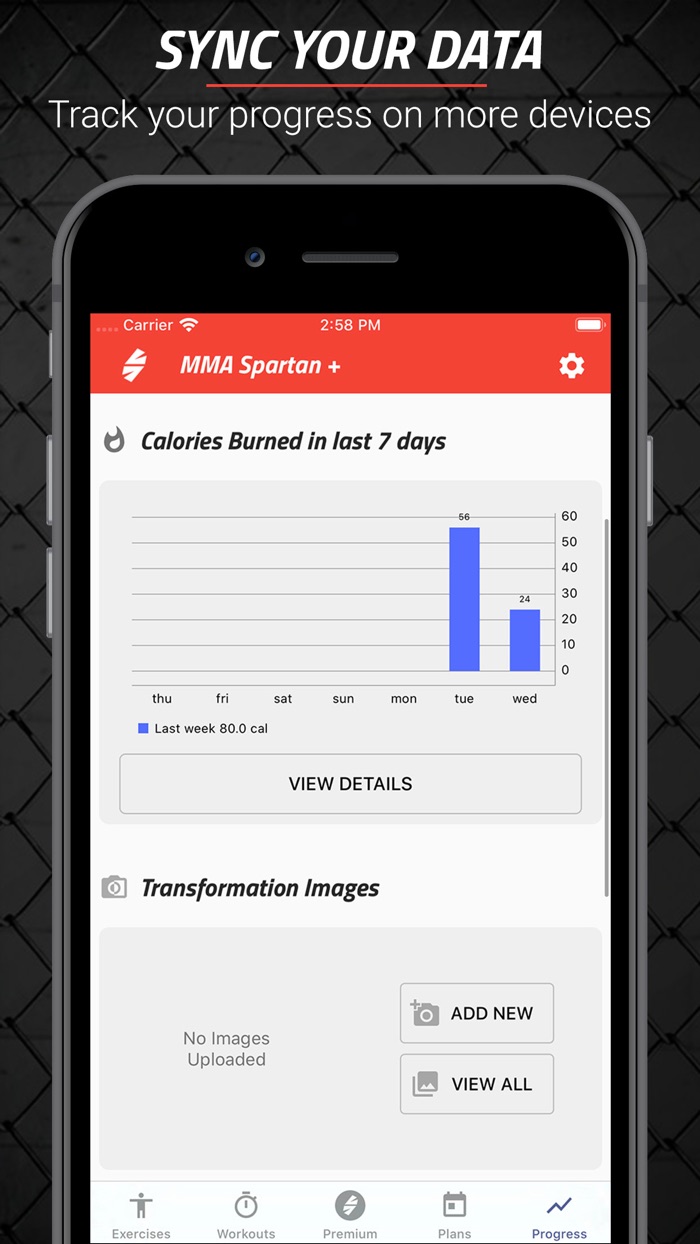 MMA Spartan Workouts Pro