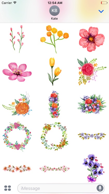 Watercolor Flowers Spring Word