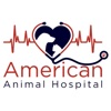 American Animal Hospital