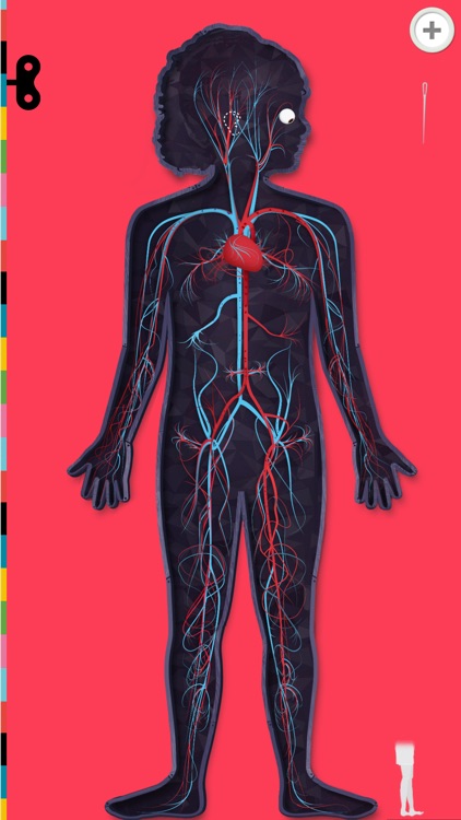 The Human Body Lite by Tinybop Inc.