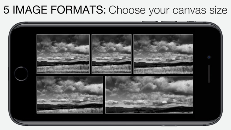 Camera1 - Black & White Camera
