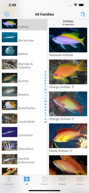 Deep Blue Divers Fish Guide(圖6)-速報App