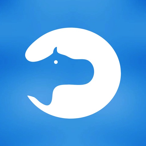 BlueHippo. iOS App