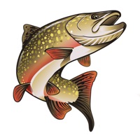 Fly Fishing Journeys