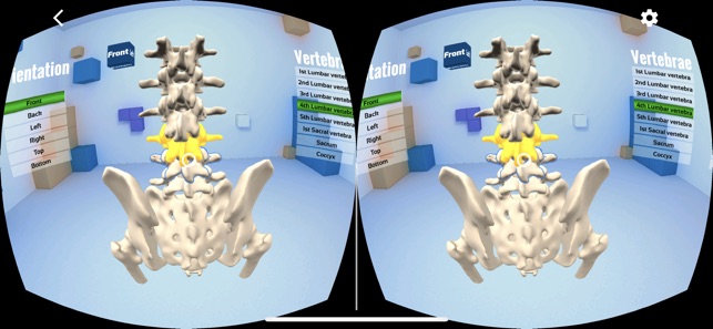 QUT Pelvis VR Trial(圖4)-速報App