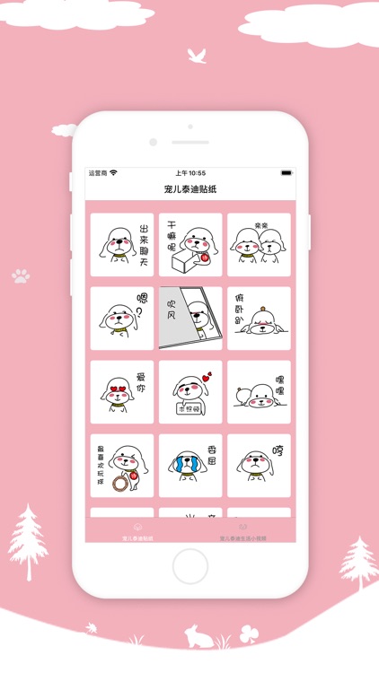 暖心宠儿泰迪