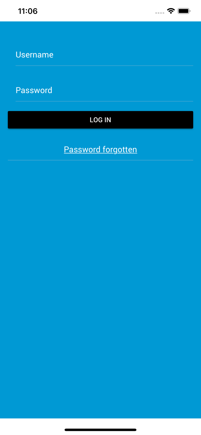 WhiteCase Dawn Raids