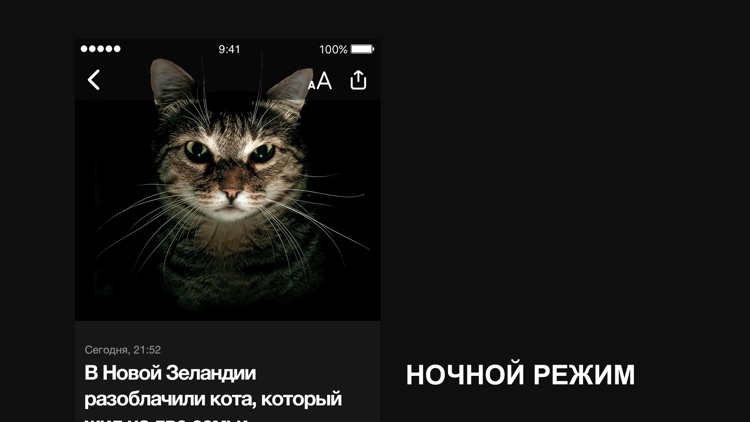 Новости России и мира. Погода screenshot-7