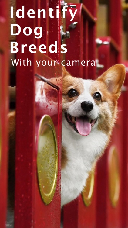 DogDNA