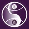 The Pillars of Destiny - an unprecedented, intuitive application for the Chinese tradition of the 5 elements: