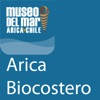 Arica Biocostero