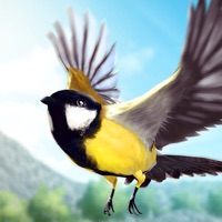 Bird Fly High: Vogel Simulator apk
