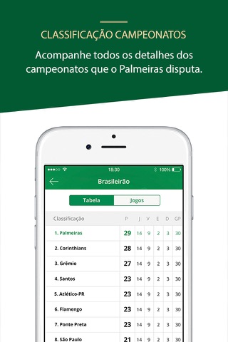 Palmeiras Oficial screenshot 3