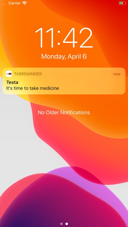 TabReminder screenshot-6