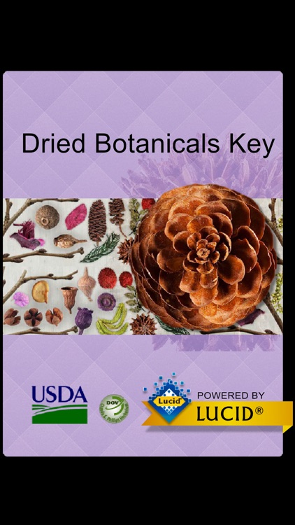 Dried Botanicals Key